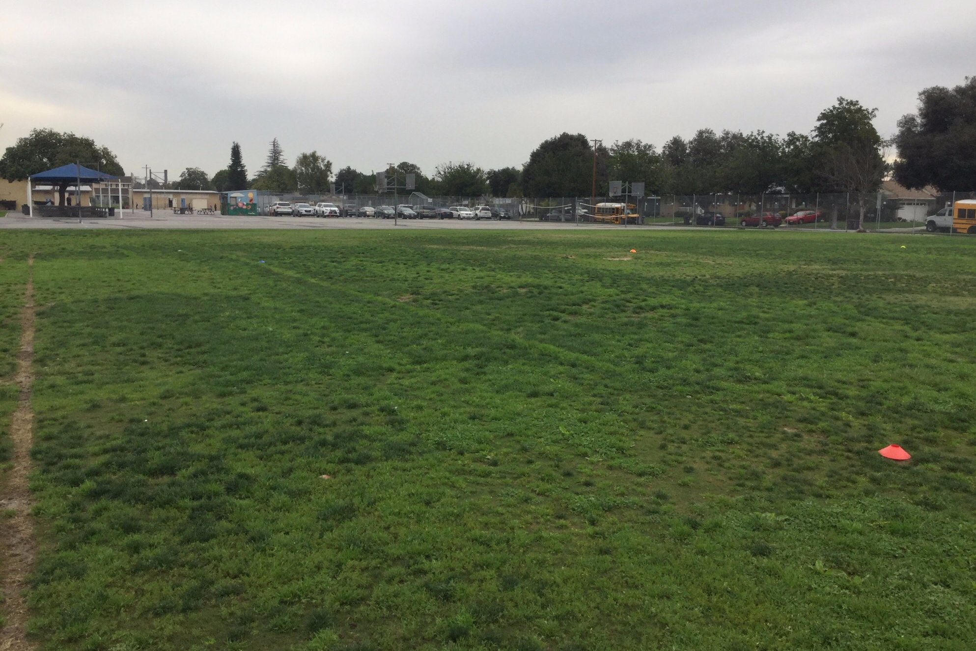 Field