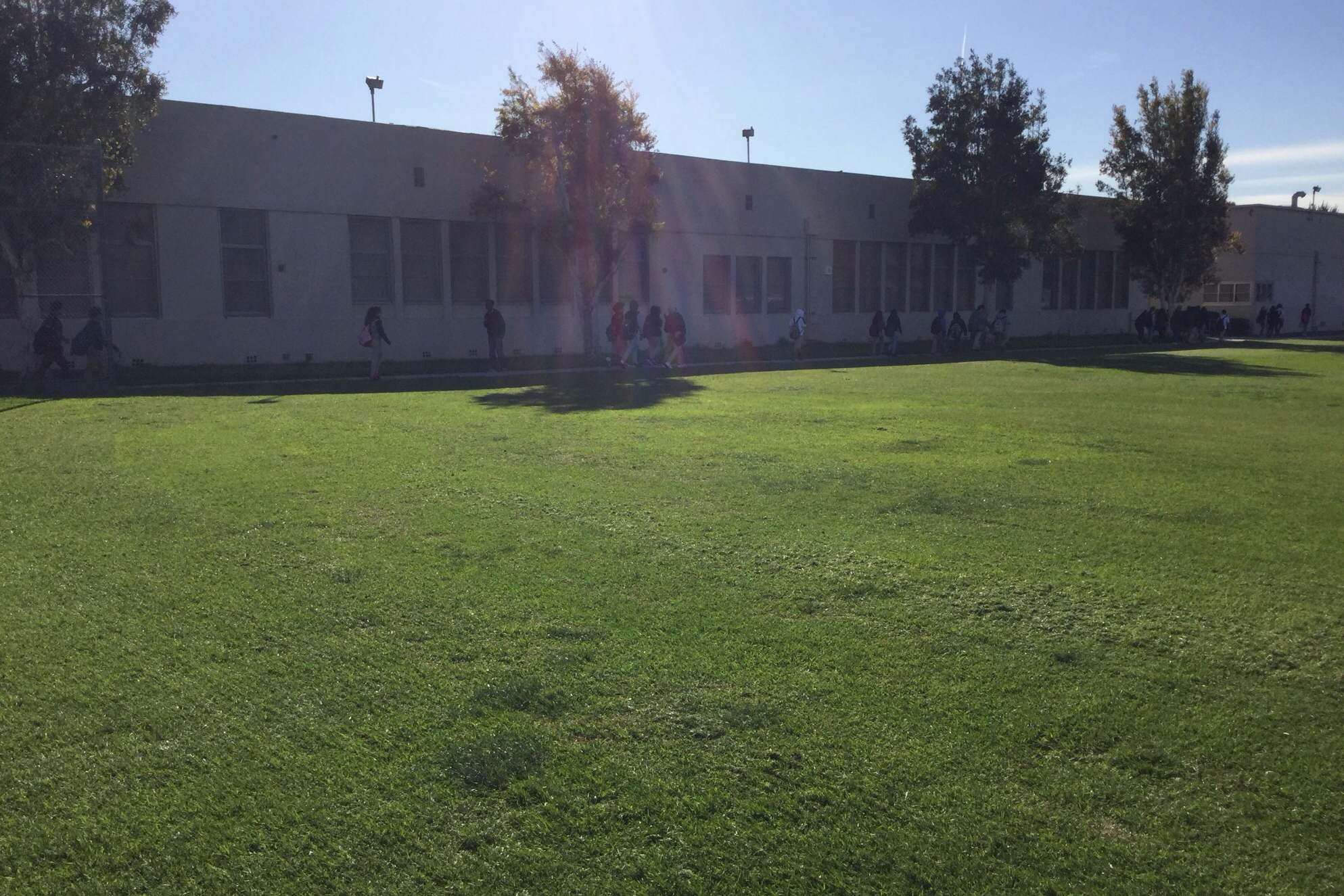 Field