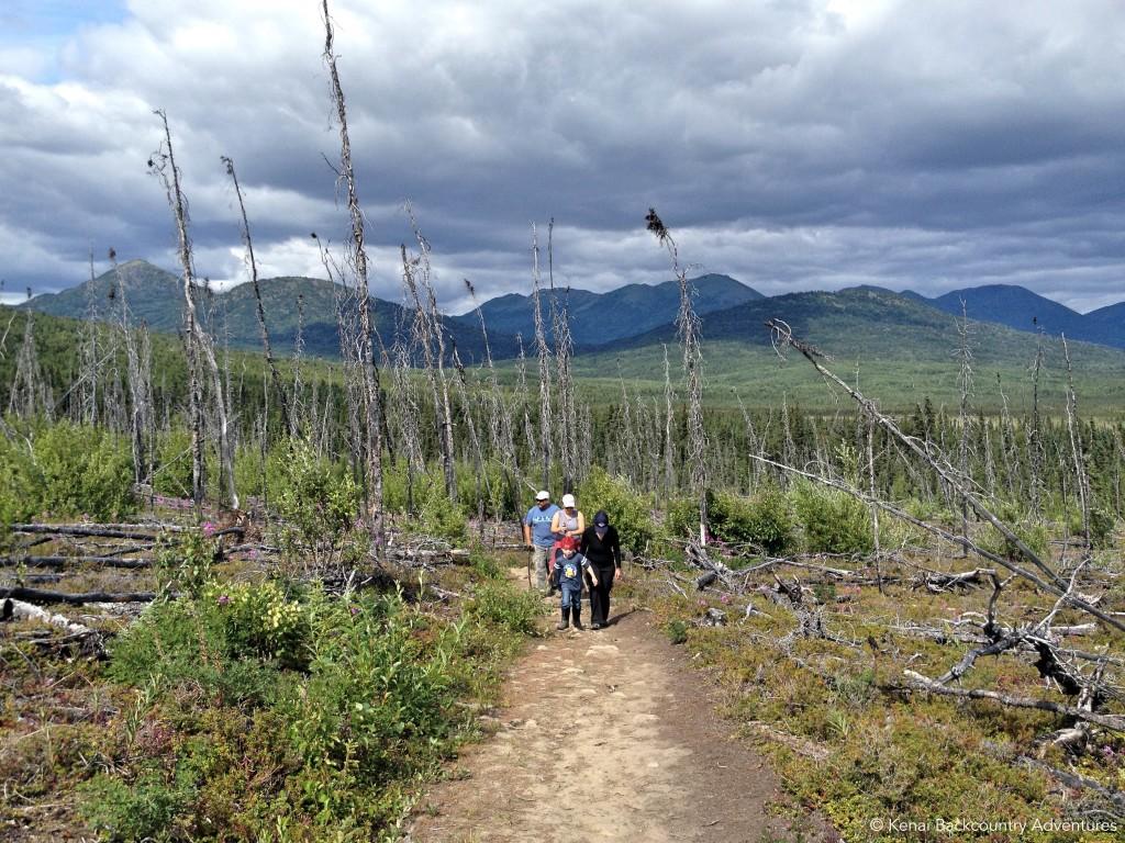 Wilderness Hiking in Kenai National Wildlife Refuge photo 2