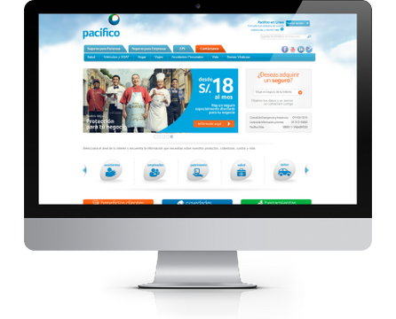 portfolio