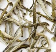 Organic Silver Needle White Tea from Arbor Teas