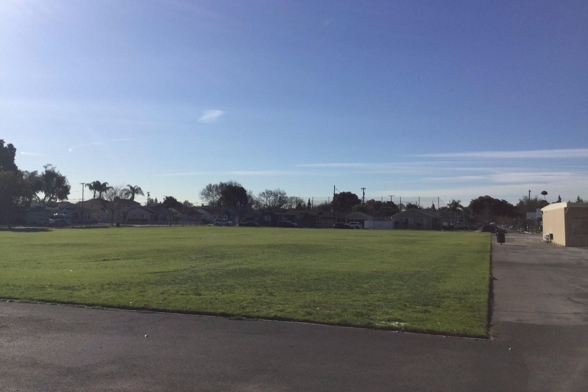Field