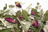 La Belle Humeur from Camellia Sinensis