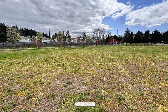 Baseball Field Grass