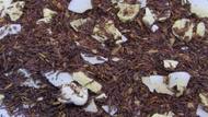 Coconut Banana Muffin Rooibos from 52teas