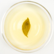 Master Four Seasons Organic Oolong Tea - Spring 2015 from Taiwan Sourcing