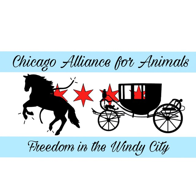 Chicago Alliance for Animals (CAA) logo