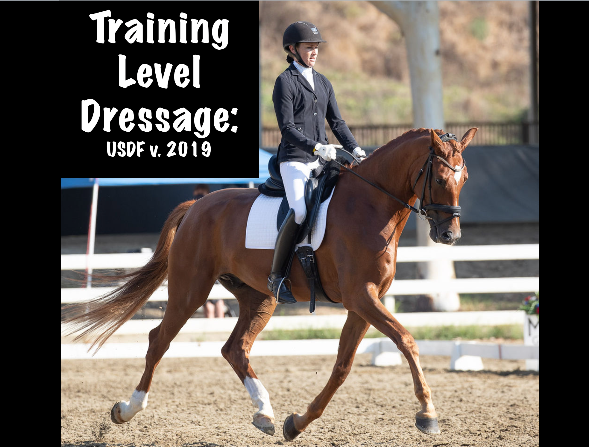 Training Level Test 3 Amelia's Dressage Academy (The Dressage