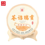 2019 XIAGUAN “CANG ZHAO RUI GONG” from Xiaguan Tea Factory
