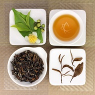 Oriental Beauty Superior Grade Oolong Tea, Lot 462 from Taiwan Tea Crafts