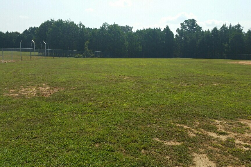 Baseball Field