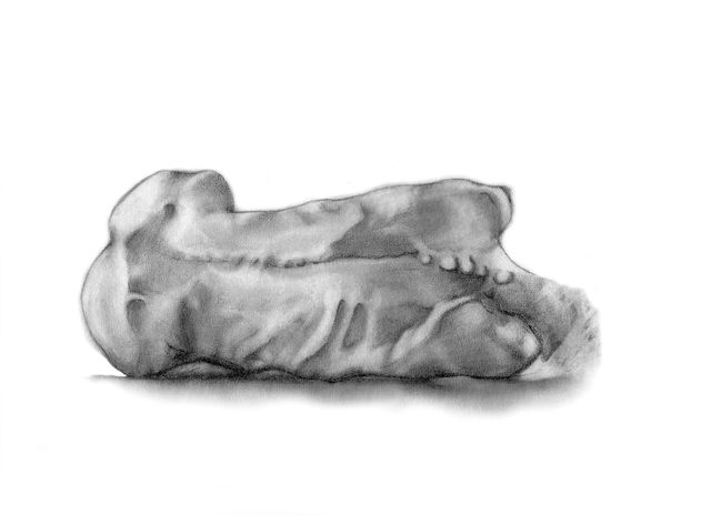 image: Untitled, 11" x 14', 2010
