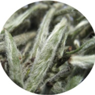 Organic Royal Silver Needle from The Tea House
