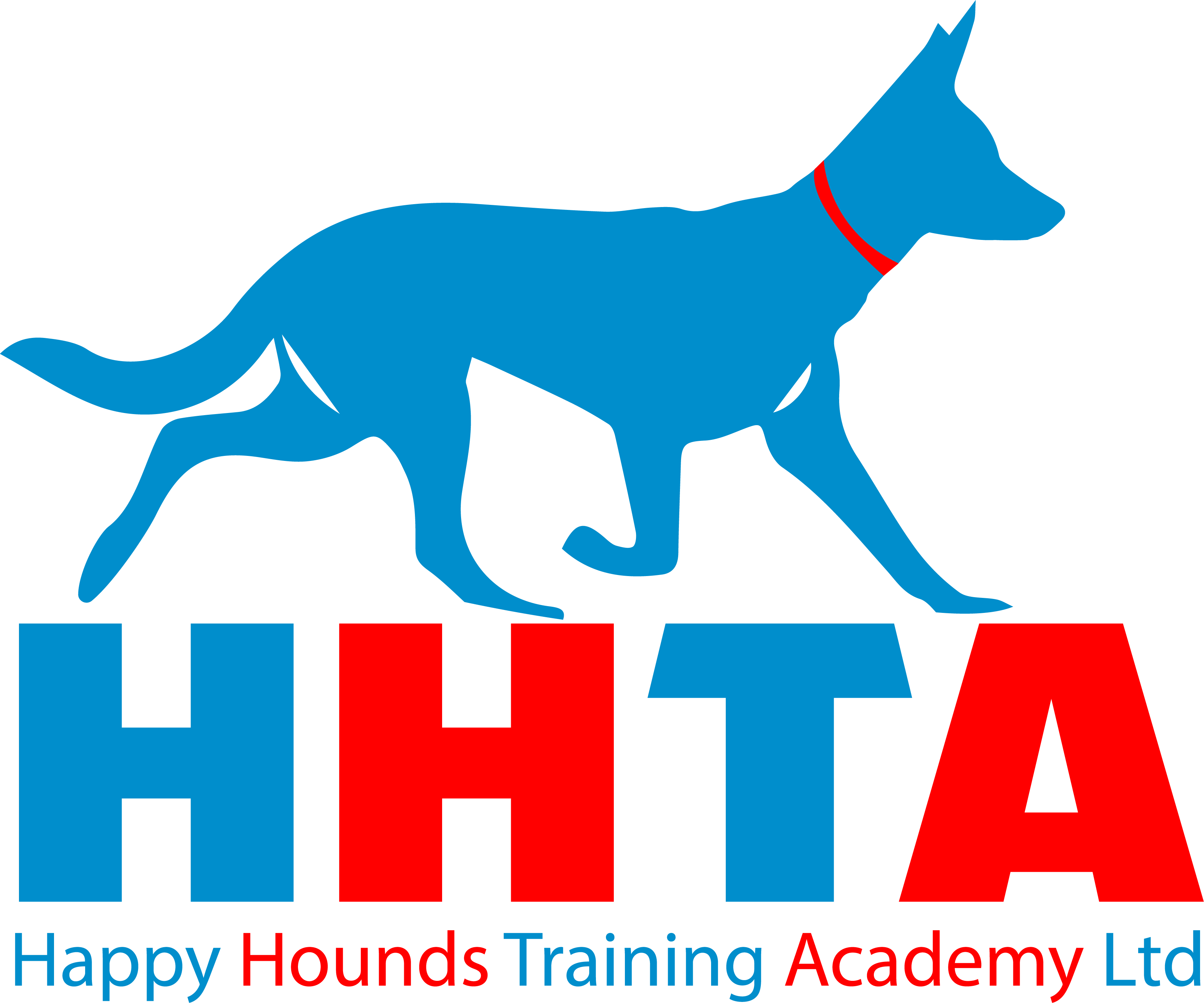 Happy hounds training hot sale