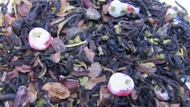 Candy Cane Forest Black Tea from 52teas