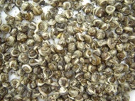 Jasmine Pearls Imperial Grade Certified Organic from Yunnan Sourcing