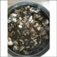 Black Honey from Red Bamboo