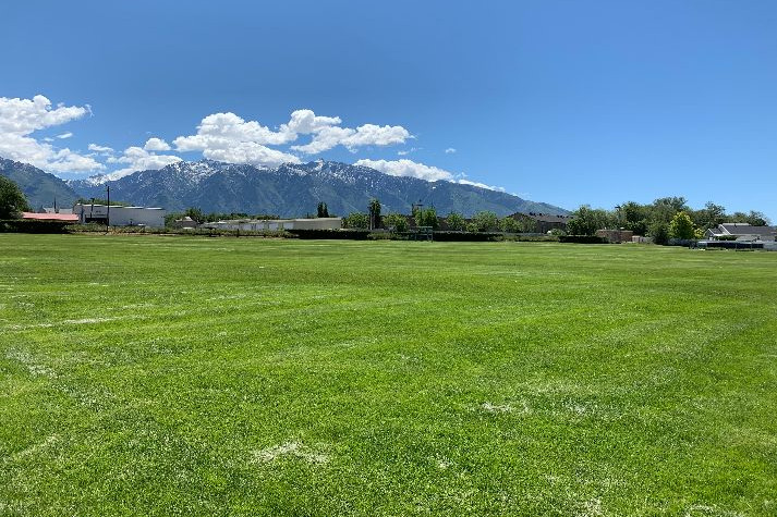 Fields