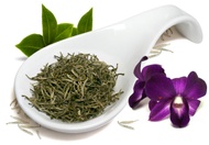 Silver Needle Savant from Tea Savant