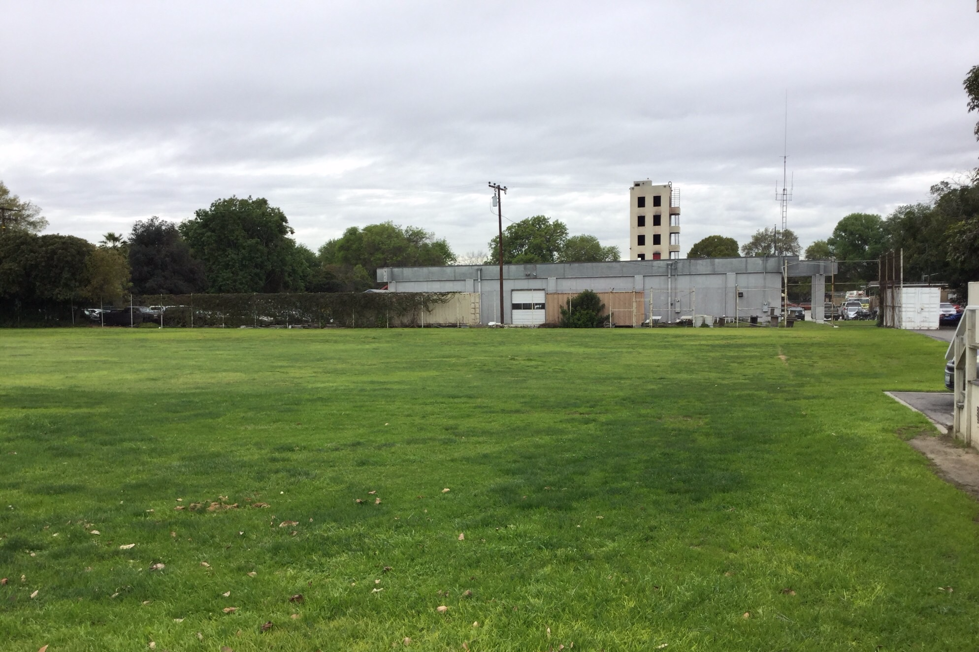 Field