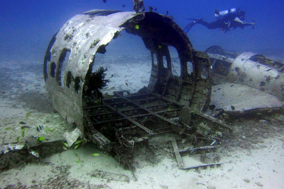 Deep and Shallow Dive photo 2