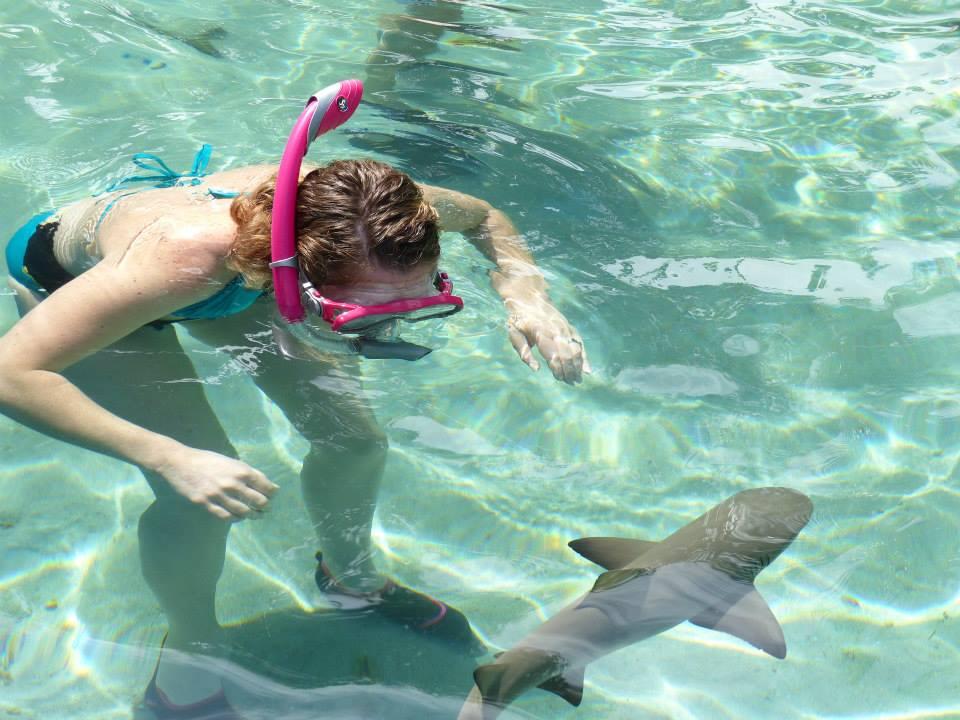 Shark Encounter at Coral World, St. Thomas, USVI - Charlotte Amalie
