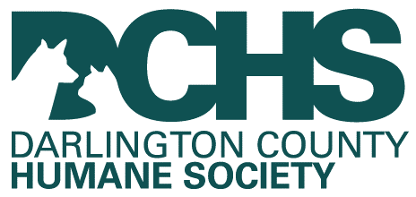 DCHS logo