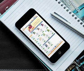 portfolio