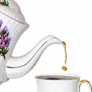 Wu Yi Ensemble from Adagio Teas - Duplicate