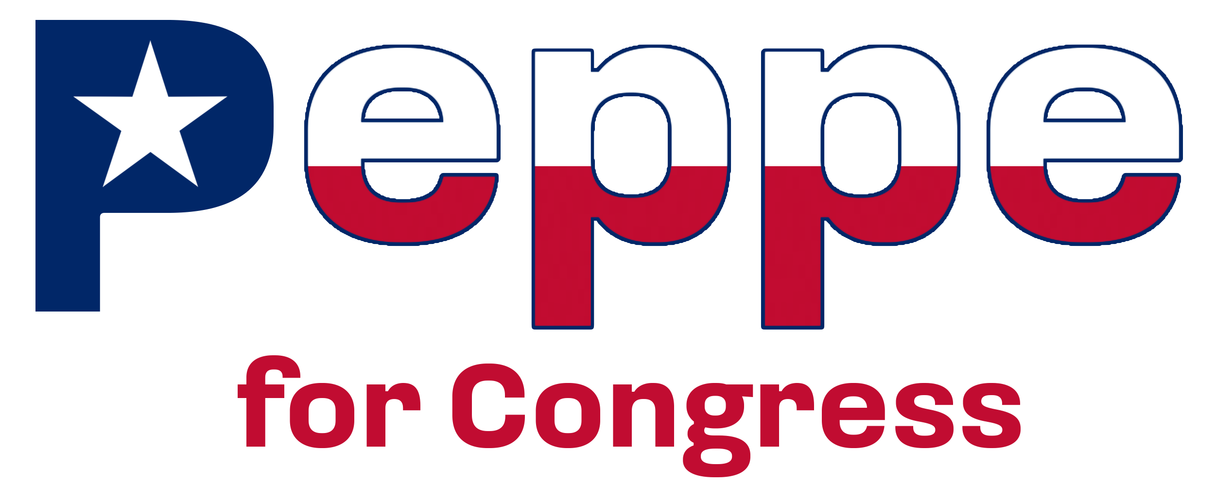 People to Elect Peppe logo