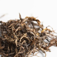Liquid Sunshine 2019 Fengqing Yellow Tea from Bitterleaf Teas