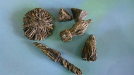 Hand crafted specialty teas from Darjeeling from Darjeeling TEA CADDY