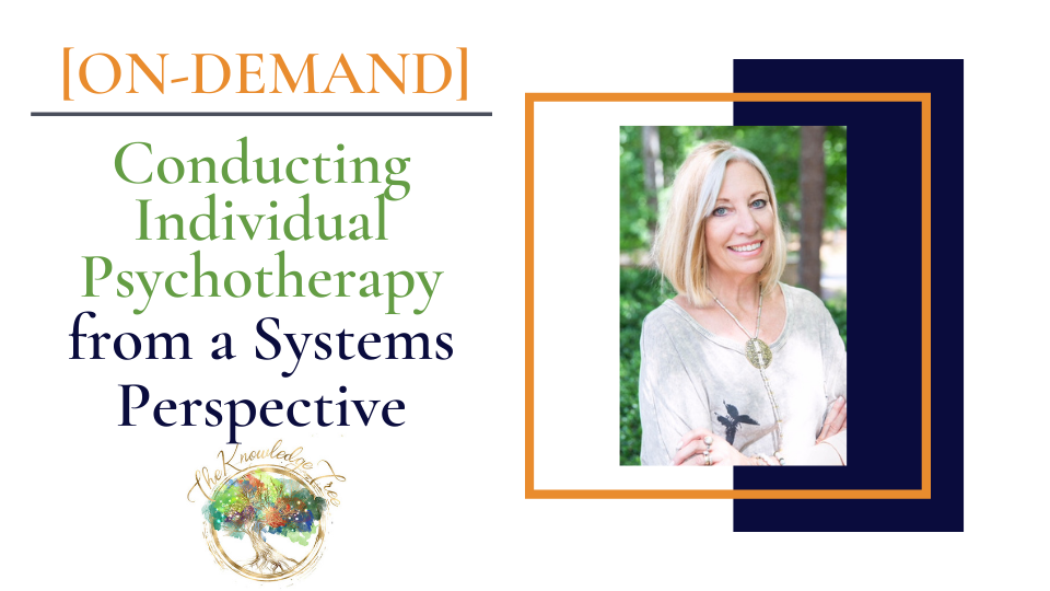 Therapy from a Systems Perspective On-Demand CE Webinar for therapists, counselors, psychologists, social workers, marriage and family therapists