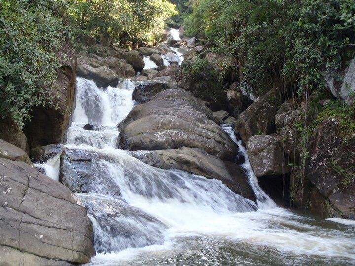 El Yunque & BioBay Combo Tour tour photo 7