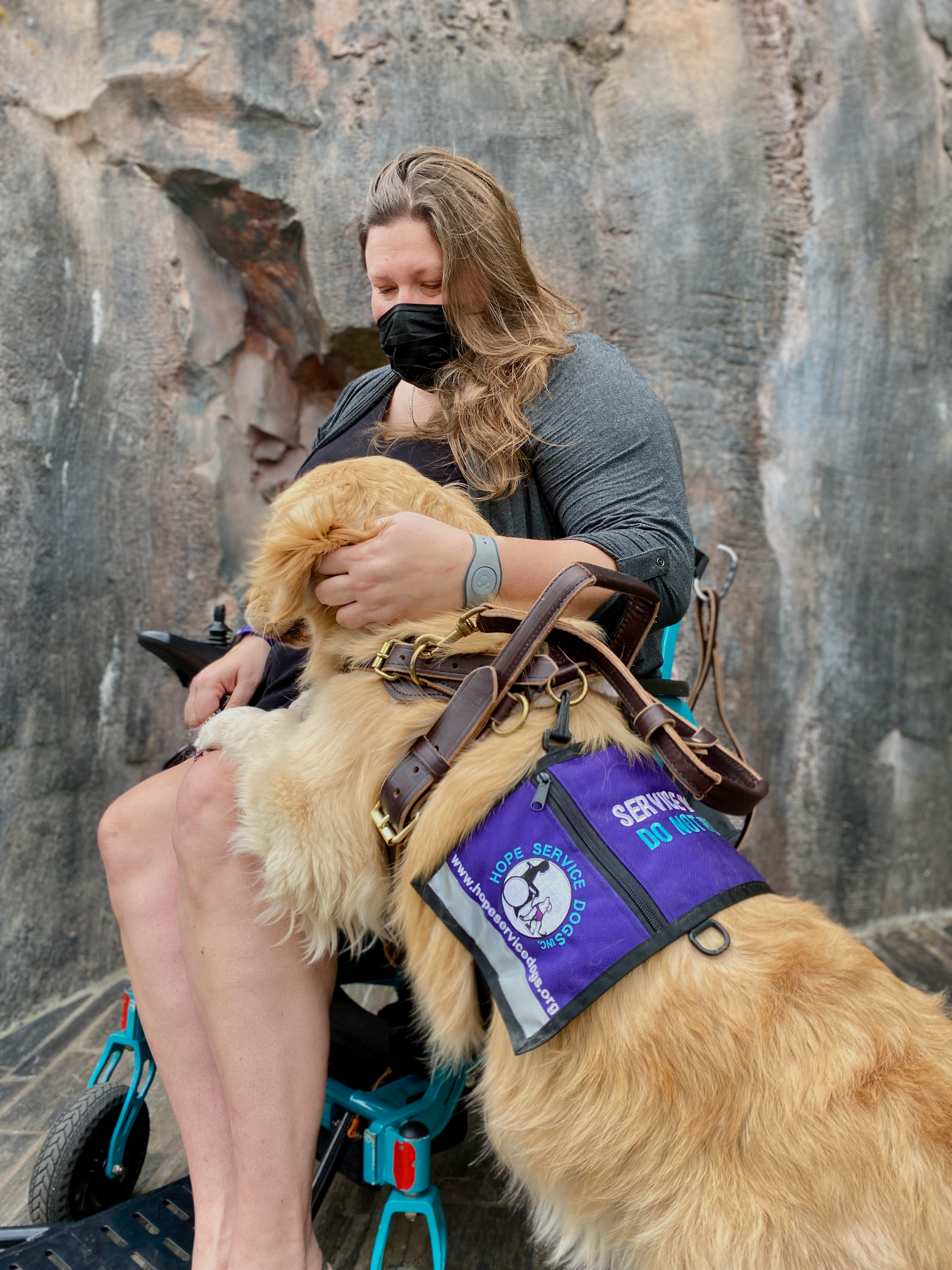 Upgrade whelping box #goldenretriever #servicedogintraining #servicedo, Service Dogs