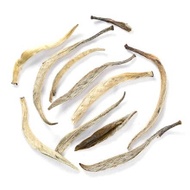 Fujian Silver Needle from Masters Teas