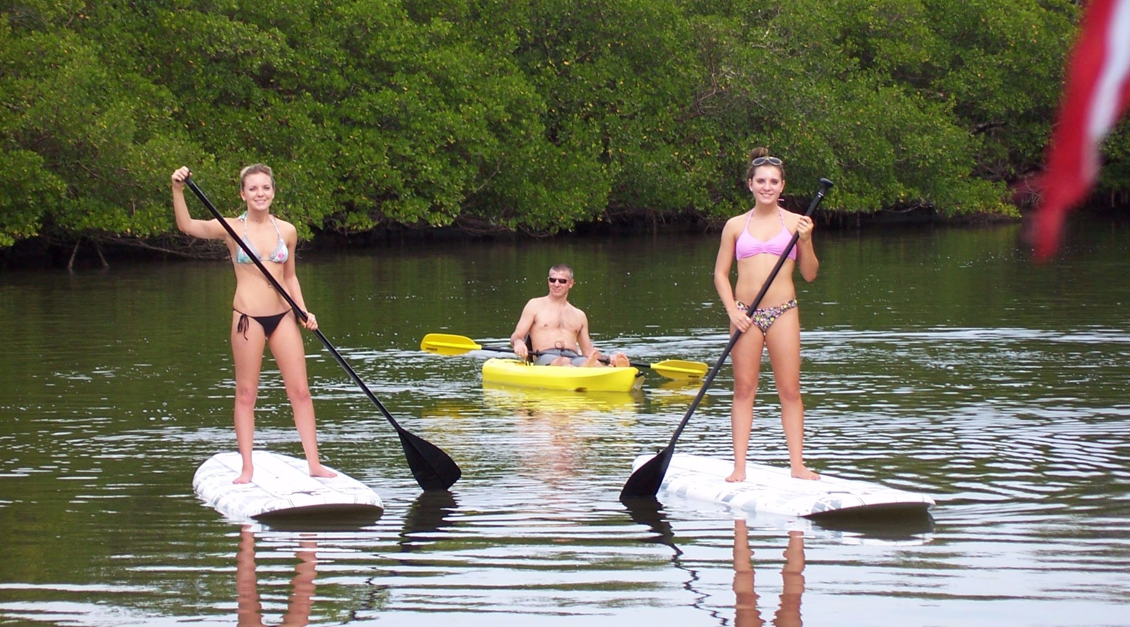 Estero Bay Kayak and Paddleboard Tour for Beginners Book Tours