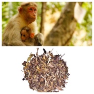 White Monkey Picked from Tea Gallerie
