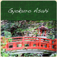 Gyokuro Asahi from CoffeeAM