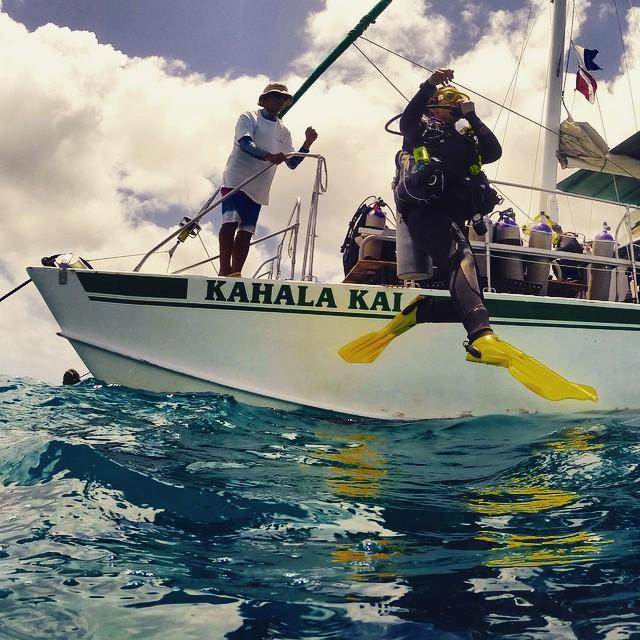 2 Tank Shallow Reef Boat Dives - Waikiki photo 2