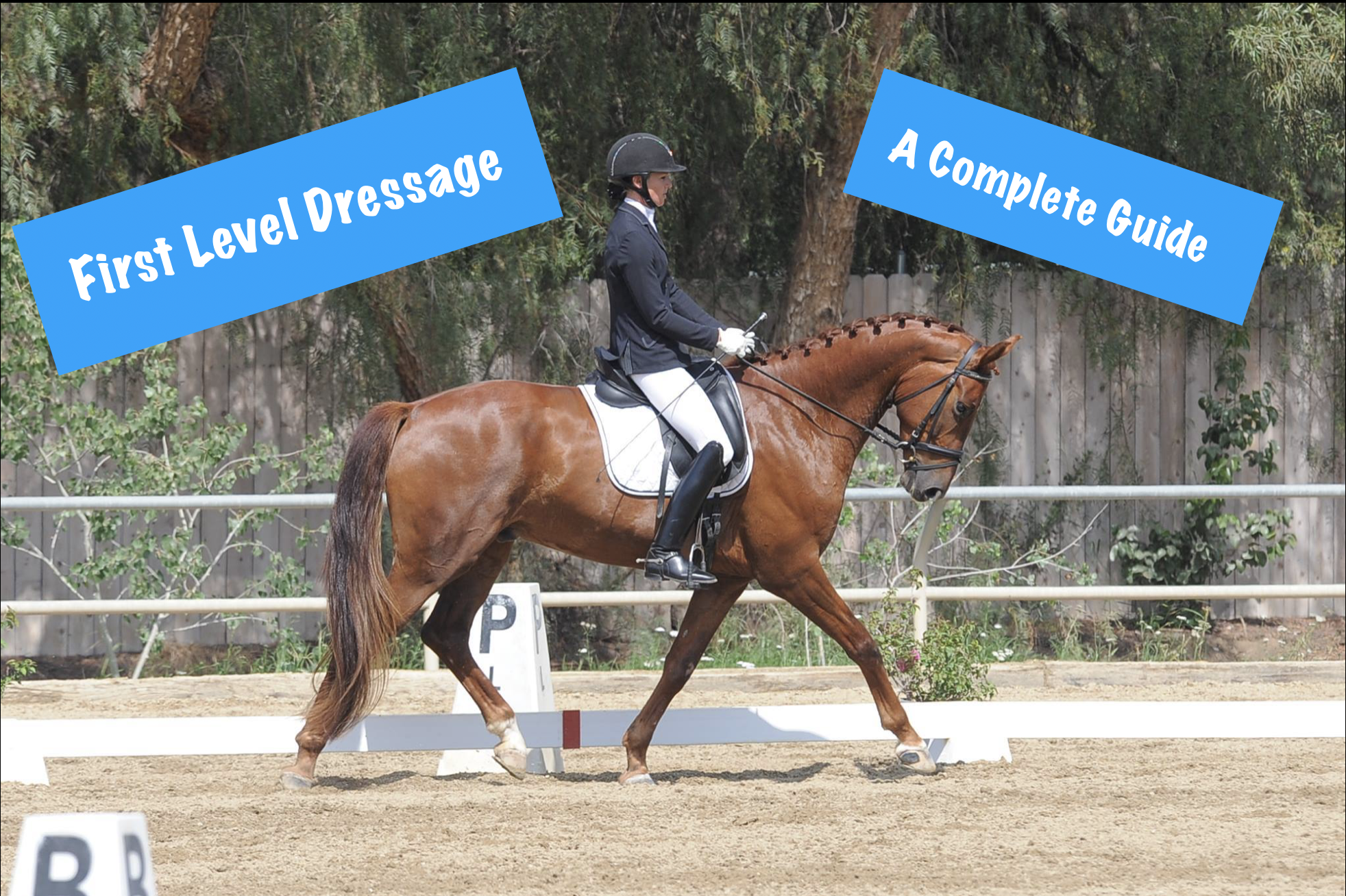 Usdf Dressage Test 2025 Lok Ambur Lilyan