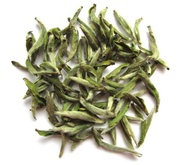 China Fujian Wild Silver Needle White Tea from What-Cha