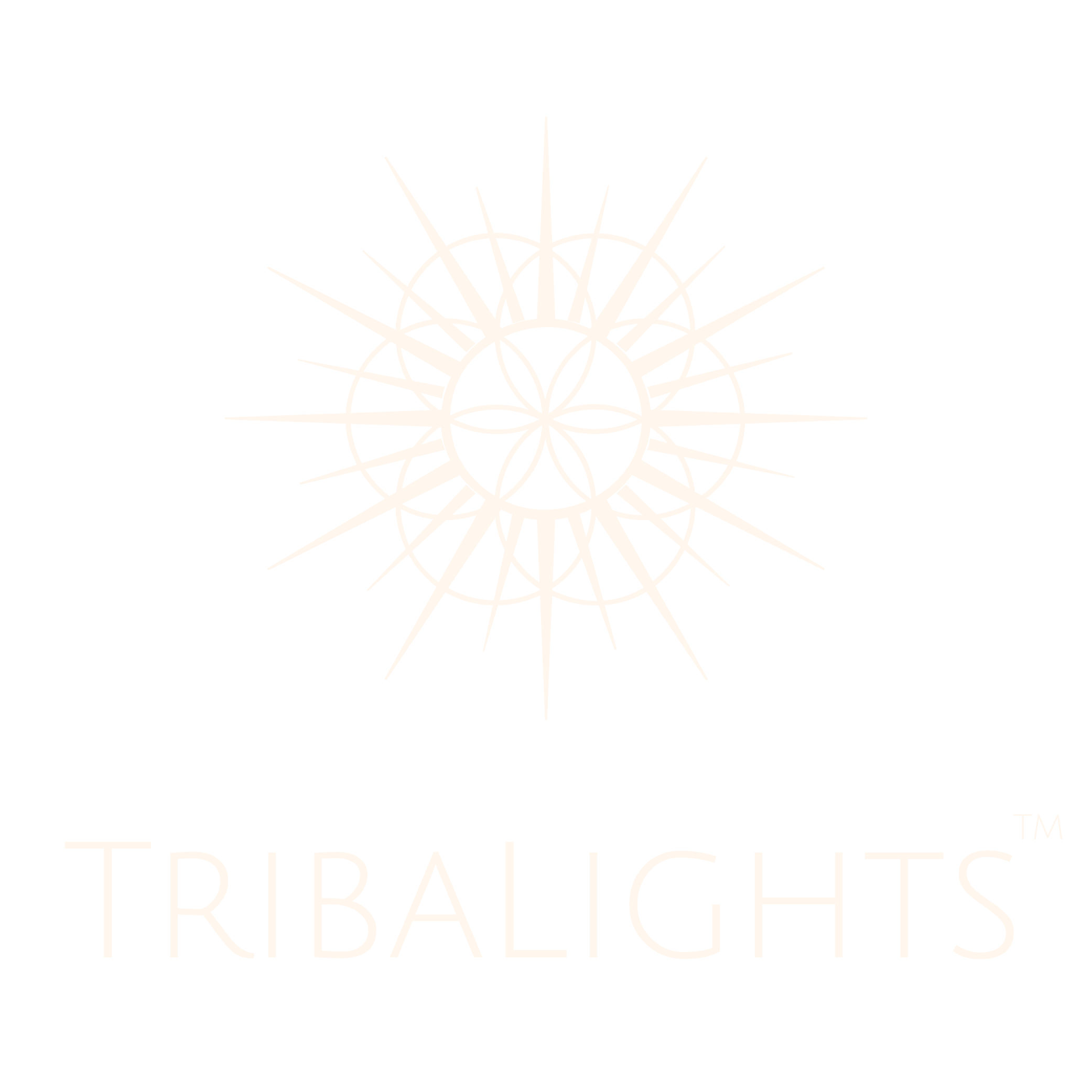 TribaLights logo