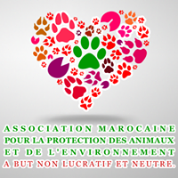 Animal Rescue Morocco for SARA logo