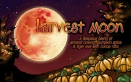 Harvest Moon from Adagio Custom Blends