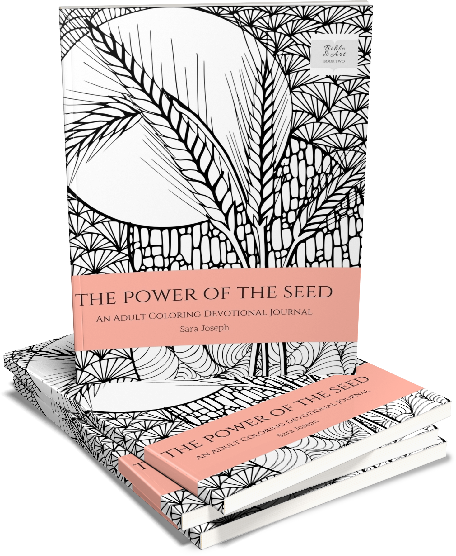 The Power of the Seed: An Adult Coloring Devotional Journal