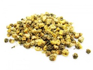 Chrysanthemum Buds from ESGREEN