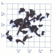 Court Lodge Estate Ceylon FBOP (TC45) from Upton Tea Imports
