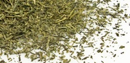 Organic Sencha from T2