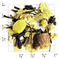 Sweet Almond Green Tea (TG14) from Upton Tea Imports